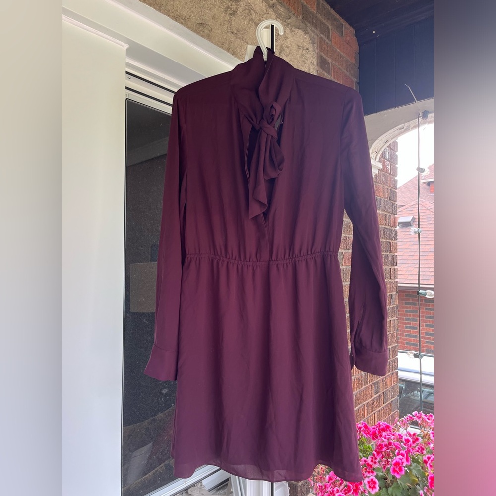 Sunday Best/Aritzia Veronica Long Sleeve Dress